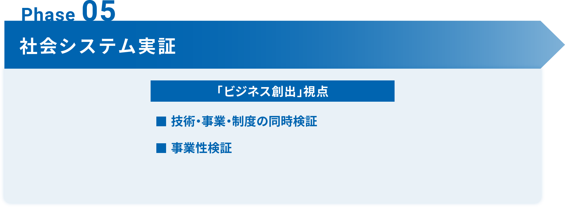 Phase 05 社会システム実証