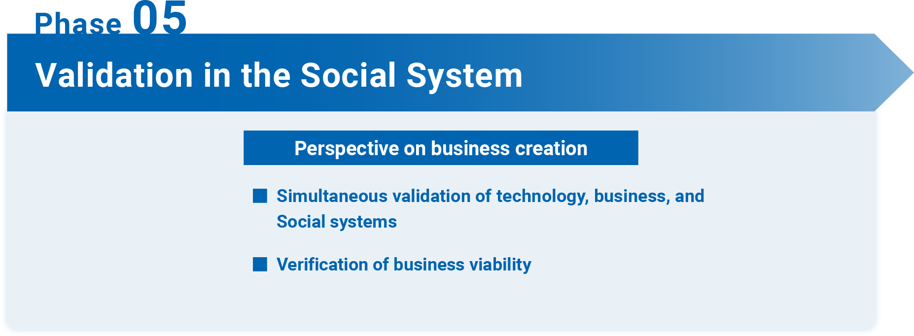 Phase 05 Validation in the Social System