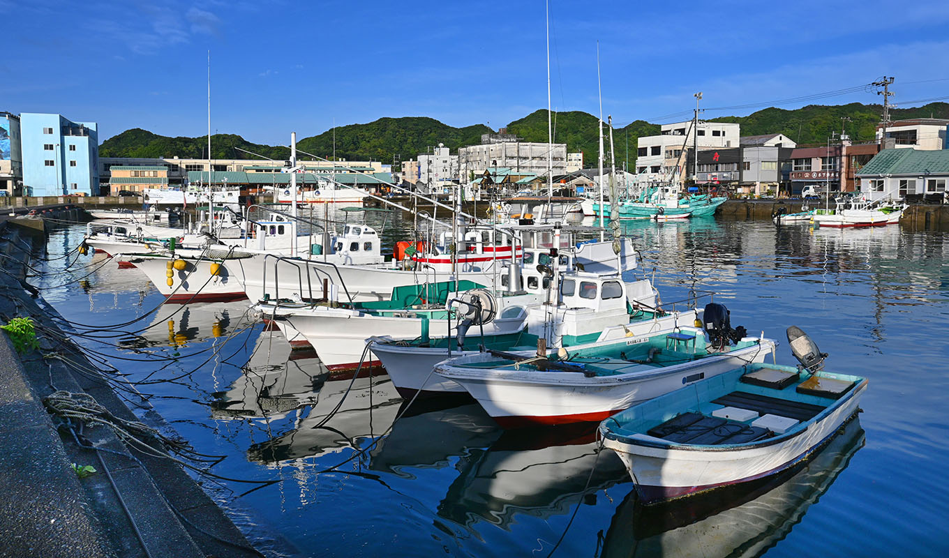 日本の水産業の現状と海外先進事例の分析