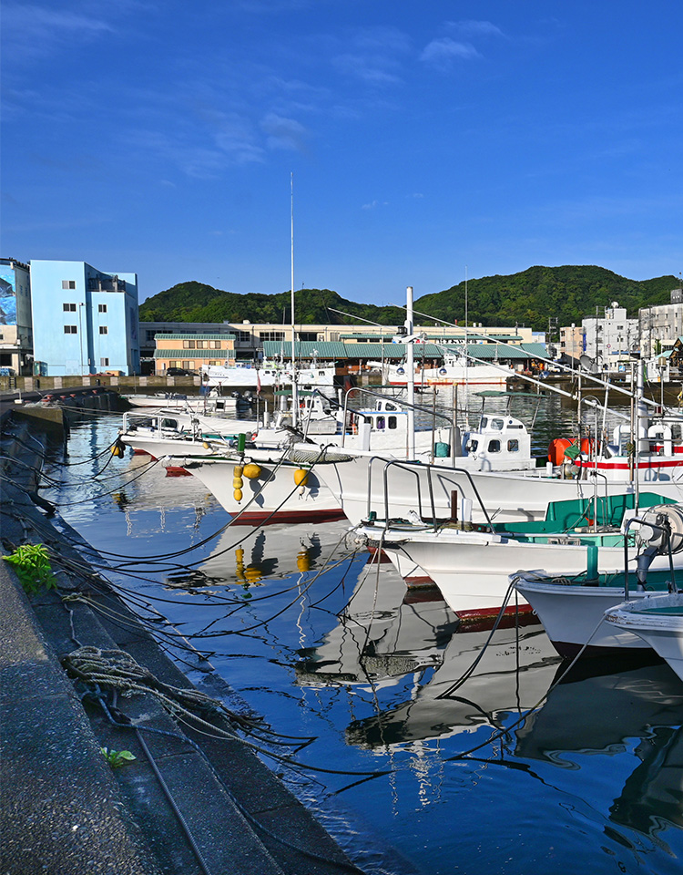 日本の水産業の現状と海外先進事例の分析