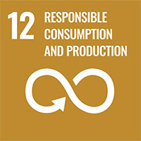 RESPONSIBLE CONSUMPTION AND <br>PRODUCTION